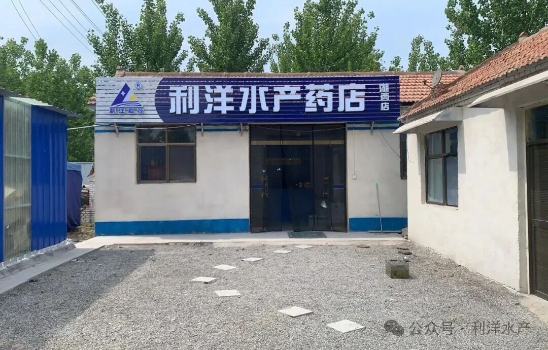 1762130899145541.jpg 11.jpg